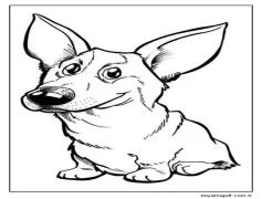 Kulaklı Milsh Welsh Corgi Boyama Sayfası