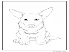 Kulaklı ve Şirin Corgi Boyama Sayfası