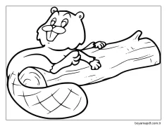 Kunduz Çocuklara Boyama Sayfası