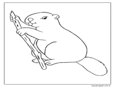 Kunduz ve Dal Boyama Sayfası