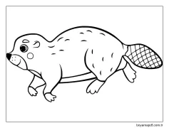 Kunduz Yazdırılabilir Çocuklara Boyama Sayfası