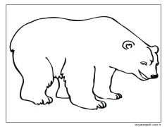 Kutup ayısı (9) Boyama Sayfası