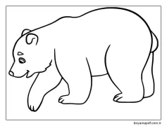 Kutup Ayısı Görseli Boyama Sayfası