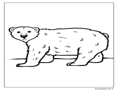 Kutup Ayısı Yazdırılabilir Ücretsiz Boyama Sayfası