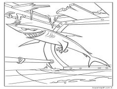 Marlin ile Chum Boyama Sayfası