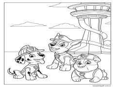 Marshall, Chase ve Rubble Boyama Sayfası