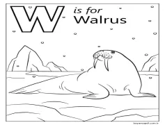 Mors Harfi W Boyama Sayfası