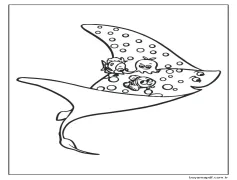 Mr.Ray'e binmek Boyama Sayfası