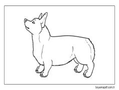 Muhteşem Corgi Boyama Sayfası
