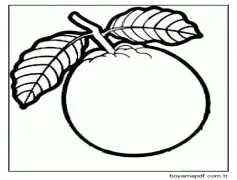 Muhteşem Guava Boyama Sayfası