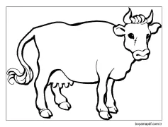 Mükemmel İnek Boyama Sayfası