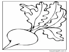 Mükemmel Turp Boyama Sayfası