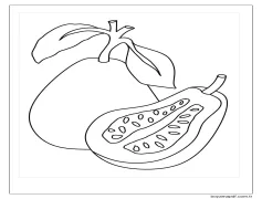 Normal Guava Boyama Sayfası