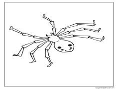 Örümcek 2 Yaş Çocuklar İçin Boyama Sayfası