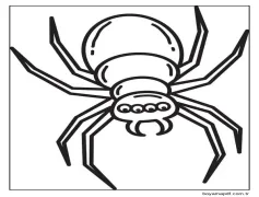 Örümcek (7) Boyama Sayfası