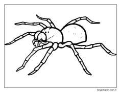 Örümcek (8) Boyama Sayfası