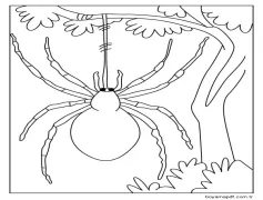 Örümcek (9) Boyama Sayfası