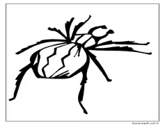 Örümcek Bedava Boyama Sayfası
