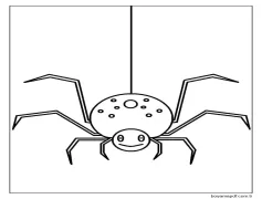 Örümcek Görsel Boyama Sayfası