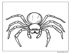 Örümcek Halloween Boyama Sayfası
