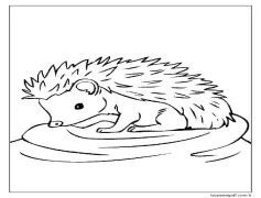 Oturan Kirpi Boyama Sayfası