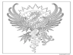 Resim Anka Kuşu ücretsiz Boyama Sayfası