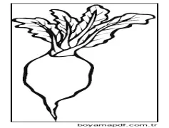 Sade Turp Boyama Sayfası