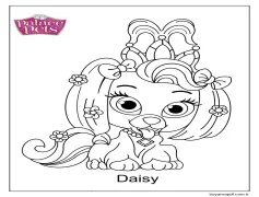 Saray Evcil Papatya Boyama Sayfası