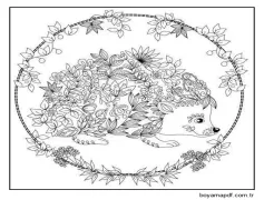 Sevimli Kirpi Boyama Sayfası