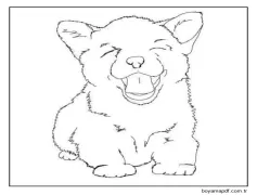 Şirin Bebek Corgi Boyama Sayfası