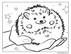 Şişman Kirpi Boyama Sayfası