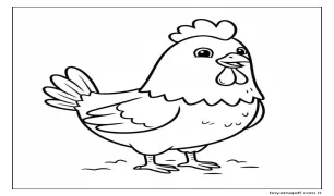 Tavuk 1 Boyama Sayfası