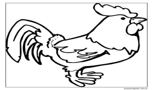 Tavuk 2 Boyama Sayfası