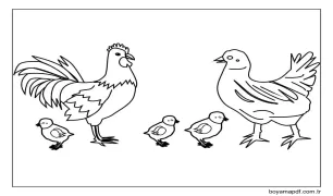 Tavuk Ailesi Boyama Sayfası