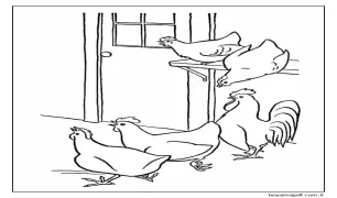 Tavuklar Boyama Sayfası