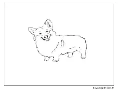 Temel Çizim Corgi Boyama Sayfası