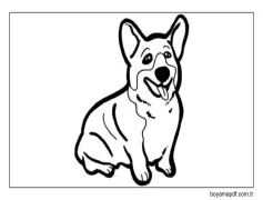 Temel Corgi Boyama Sayfası