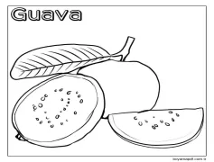 Temel Guava Boyama Sayfası