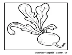 Turp çizimi Boyama Sayfası