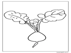 Turp Yazdırılabilir Boyama Sayfası