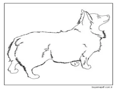 Tüylü Küçük Corgi Boyama Sayfası
