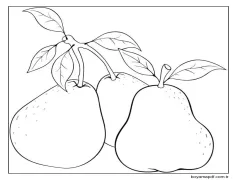 Üç Guava Boyama Sayfası