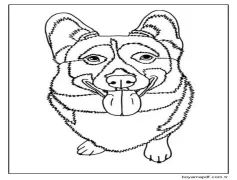 Ücretsiz Corgi Boyama Sayfası