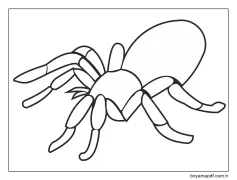 Ücretsiz Örümcek Çocuklar İçin Boyama Sayfası