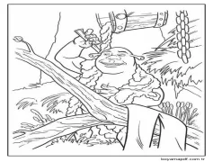 Ücretsiz Şrek Boyama Sayfası