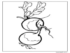 Ücretsiz Turp Boyama Sayfası