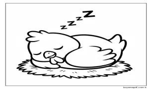 Uyuyan Tavuk Boyama Sayfası