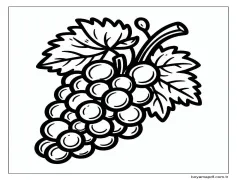 Üzümler - Sayfa 1 Boyama Sayfası