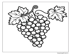 Üzümler - Sayfa 11 Boyama Sayfası