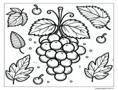 Üzümler - Sayfa 12 Boyama Sayfası